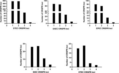 Genotyping Based on CRISPR Loci Diversity and Pathogenic Potential of Diarrheagenic Escherichia coli